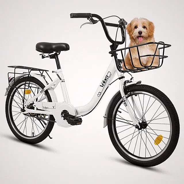 20" Bike: Steel Frame, Coaster & V-Brakes, Rear Rack, 9–12 Yrs
