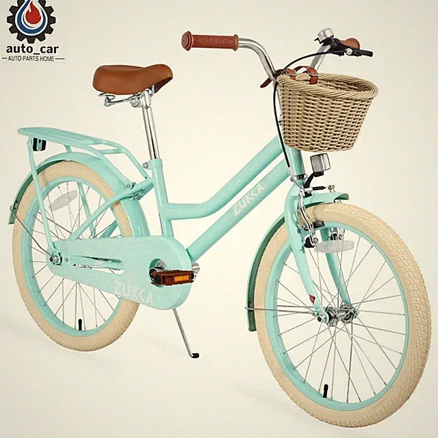 20 inch Girls Bike w/ Basket for 7-10 Years Old, Coaster Brake, Multiple Colors