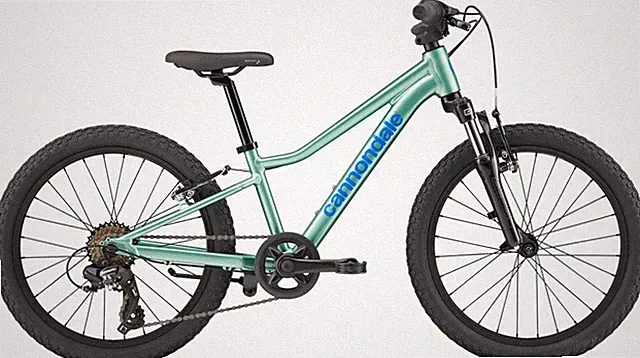 Cannondale Kid's Trail 20 Mountain Bike (height 3'10" and 4'3")