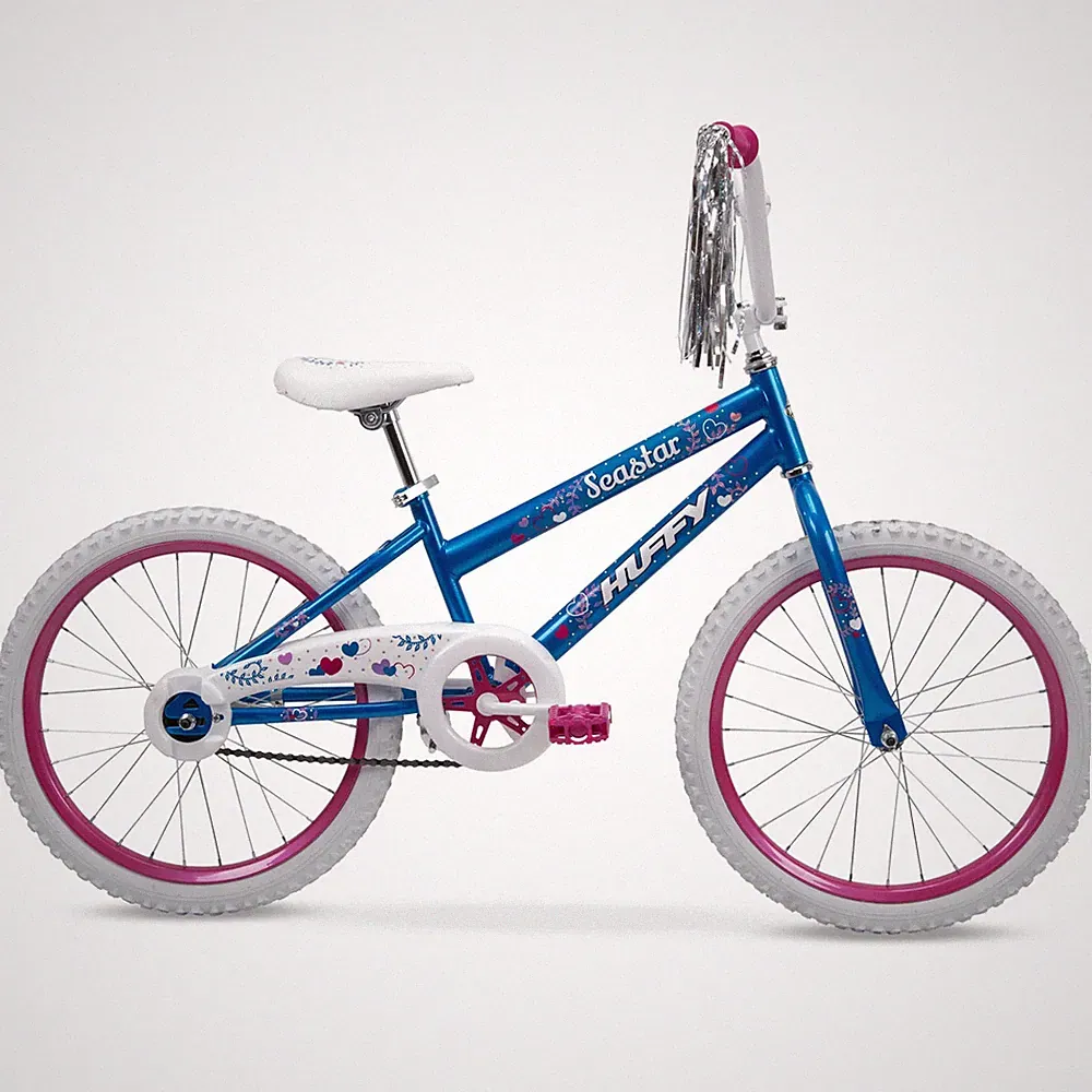 Girls Kids Bike BMX Bicycle 20-Inch Frame Wheels Outdoor Sports Ride Blue Pink